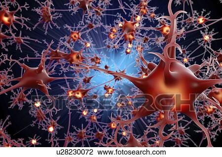 Nerve cells, illustration View Large Photo Image Stock Image - Nerve cells, illustration. Fotosearch