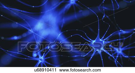 Stock Image - Nerve cells, illustration. Fotosearch
