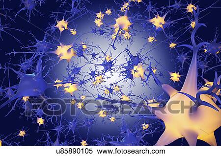 Stock Photography - Nerve cells, illustration. Fotosearch