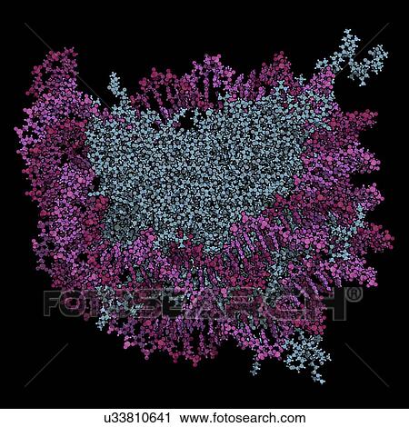 Stock Image - Nucleosome molecule. Fotosearch