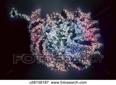 Stock Photo - Nucleosome molecule. Fotosearch