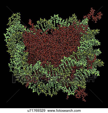 Stock Photo - Nucleosome molecule. Fotosearch