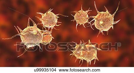 Parasitic microorganisms, illustration View Large Photo Image Picture - Parasitic microorganisms, illustration. Fotosearch