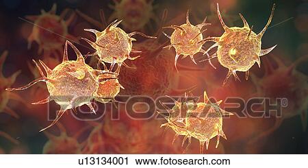 Parasitic microorganisms, illustration View Large Photo Image Stock Image - Parasitic microorganisms, illustration. Fotosearch