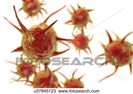 Parasitic microorganisms, illustration View Large Photo Image Stock Image - Parasitic microorganisms, illustration. Fotosearch
