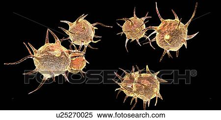 Parasitic microorganisms, illustration View Large Photo Image Stock Photography - Parasitic microorganisms, illustration. Fotosearch