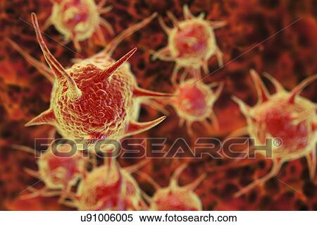 Parasitic microorganisms, illustration View Large Photo Image Stock Photography - Parasitic microorganisms, illustration. Fotosearch