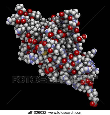 Programmed cell death 1 protein molecule View Large Photo Image Stock Image - Programmed cell death 1 protein molecule. Fotosearch