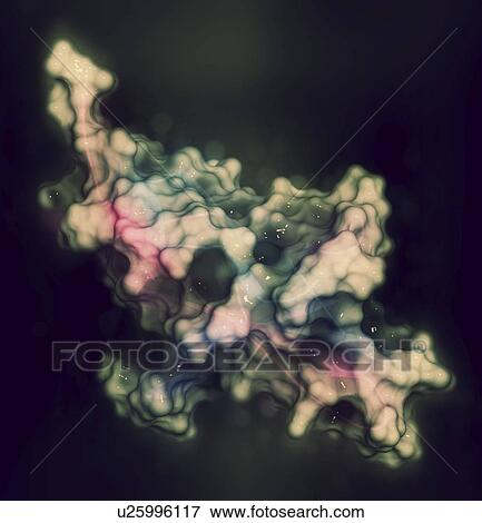 Stock Photo - Programmed cell death 1 protein molecule. Fotosearch