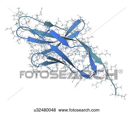 Stock Photo - Programmed cell death 1 protein molecule. Fotosearch