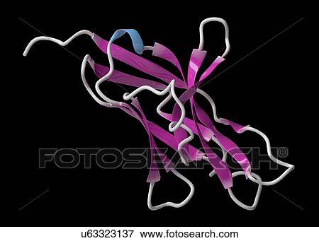 Stock Photo - Programmed cell death 1 protein molecule. Fotosearch