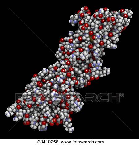 Stock Photograph - Programmed death-ligand 1 molecule. Fotosearch