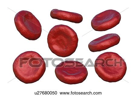 Red blood cells, illustration View Large Photo Image Stock Image - Red blood cells, illustration. Fotosearch