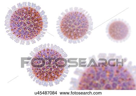 Rotavirus particle, illustration View Large Photo Image Picture - Rotavirus particle, illustration. Fotosearch