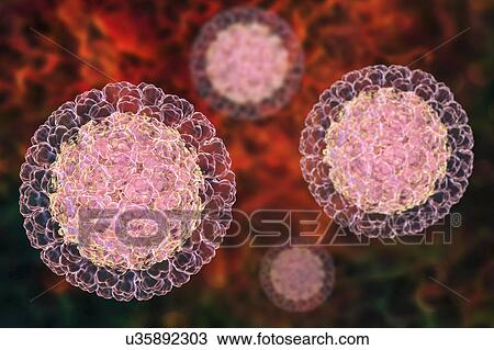 Stock Image - Rotavirus particle, illustration. Fotosearch