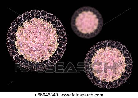 Rotavirus particle, illustration View Large Photo Image Stock Image - Rotavirus particle, illustration. Fotosearch