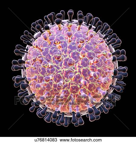 Stock Image - Rotavirus particle, illustration. Fotosearch