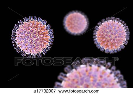 Stock Photo - Rotavirus particle, illustration. Fotosearch
