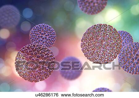 Stock Photograph - Rotavirus particle, illustration. Fotosearch