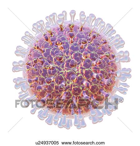 Rotavirus particle, illustration View Large Photo Image Stock Photography - Rotavirus particle, illustration. Fotosearch