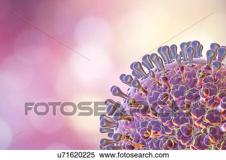 Stock Photography - Rotavirus particle, illustration. Fotosearch
