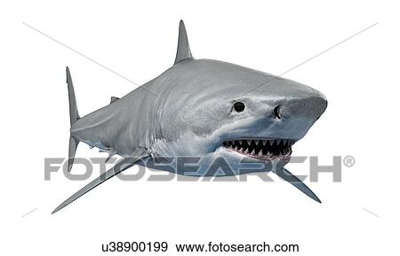 Stock Photo - Shark against white background, illustration. Fotosearch