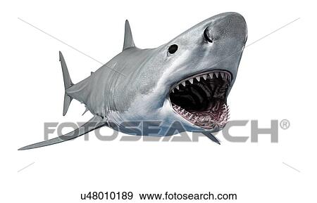 Stock Photo - Shark against white background, illustration. Fotosearch