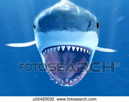 Stock Image - Shark swimming underwater, illustration. Fotosearch