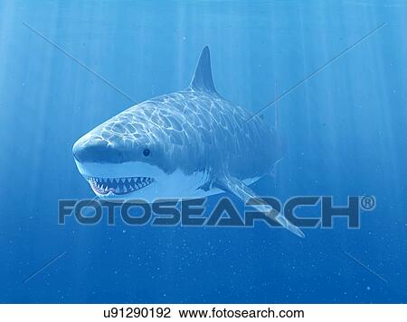 Stock Image - Shark swimming underwater, illustration. Fotosearch