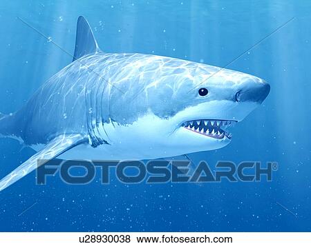 Stock Photo - Shark swimming underwater, illustration. Fotosearch