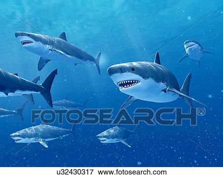 Sharks swimming underwater, illustration View Large Photo Image Stock Photo - Sharks swimming underwater, illustration. Fotosearch