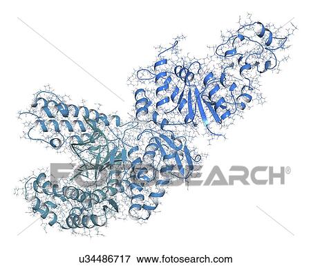 Taq polymerase PCR enzyme molecule View Large Photo Image Stock Photo - Taq polymerase PCR enzyme molecule. Fotosearch