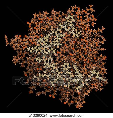 Picture - Thrombin blood-clotting enzyme molecule. Fotosearch