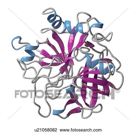 Thrombin blood-clotting enzyme molecule View Large Photo Image Stock Image - Thrombin blood-clotting enzyme molecule. Fotosearch