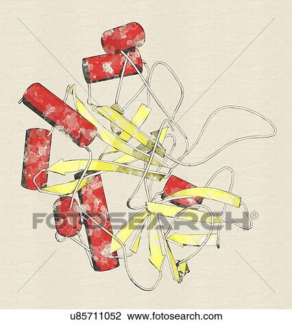 Stock Image - Thrombin blood-clotting enzyme molecule. Fotosearch