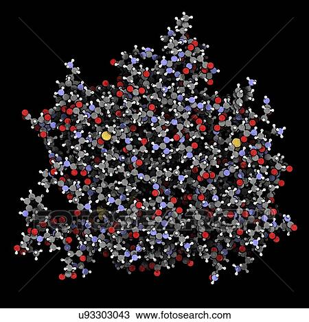 Thrombin blood-clotting enzyme molecule View Large Photo Image Stock Image - Thrombin blood-clotting enzyme molecule. Fotosearch