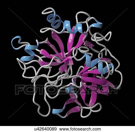 Stock Photo - Thrombin blood-clotting enzyme molecule. Fotosearch
