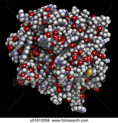 Stock Photo - Thrombin blood-clotting enzyme molecule. Fotosearch