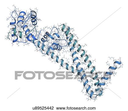 Troponin cardiac protein molecule View Large Photo Image Stock Image - Troponin cardiac protein molecule. Fotosearch