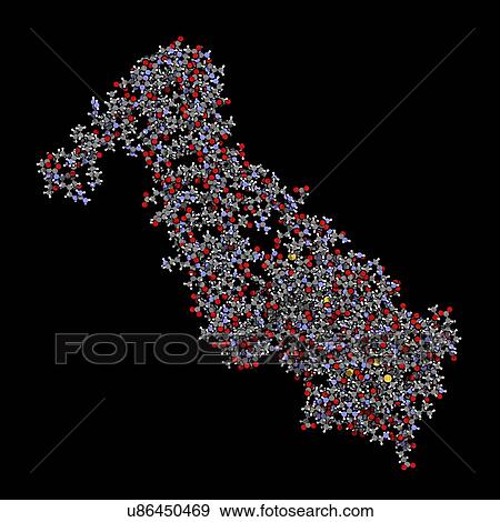 Troponin cardiac protein molecule View Large Photo Image Stock Photo - Troponin cardiac protein molecule. Fotosearch