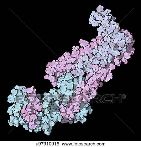 Stock Photograph - Troponin cardiac protein molecule. Fotosearch
