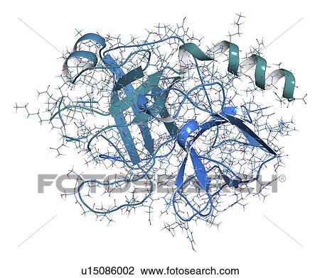 Stock Image - Trypsin digestive enzyme molecule. Fotosearch