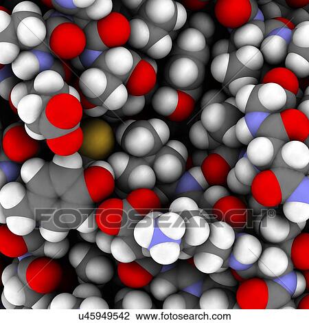 Stock Image - Trypsin enzyme surface, molecule model. Fotosearch