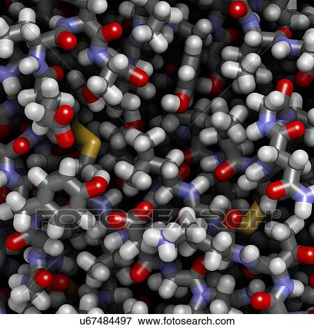 Stock Photo - Trypsin enzyme surface, molecule model. Fotosearch
