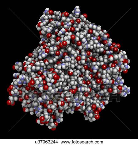 Tumour necrosis factor alpha molecule View Large Photo Image Picture - Tumour necrosis factor alpha molecule. Fotosearch