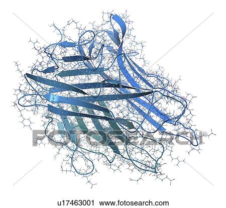 Stock Image - Tumour necrosis factor alpha molecule. Fotosearch