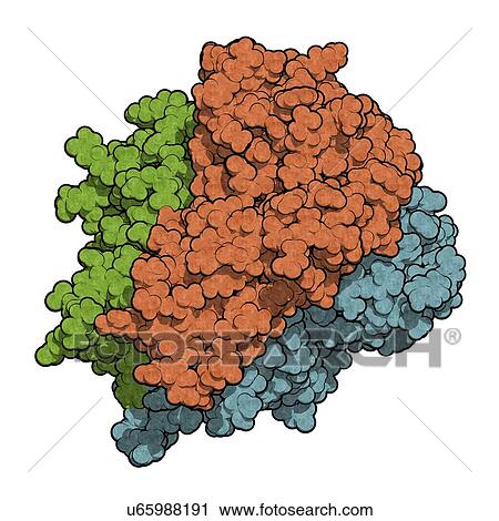 Stock Image - Tumour necrosis factor alpha molecule. Fotosearch