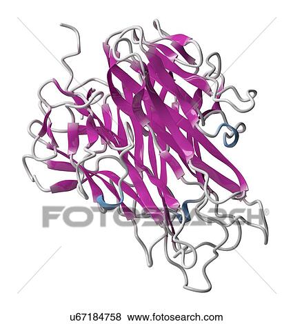 Stock Photo - Tumour necrosis factor alpha molecule. Fotosearch