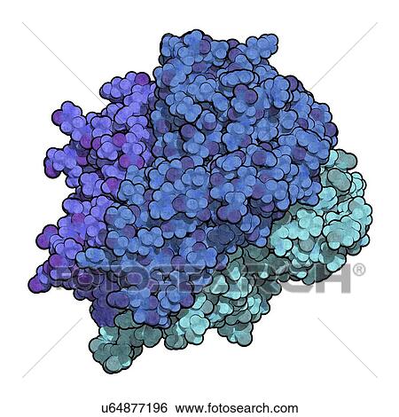 Stock Photograph - Tumour necrosis factor alpha molecule. Fotosearch