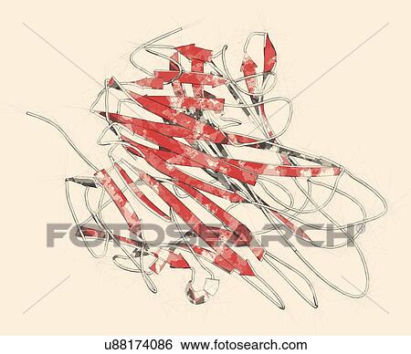 Stock Photograph - Tumour necrosis factor alpha molecule. Fotosearch